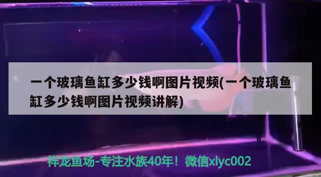 一個玻璃魚缸多少錢啊圖片視頻(一個玻璃魚缸多少錢啊圖片視頻講解) 水族世界