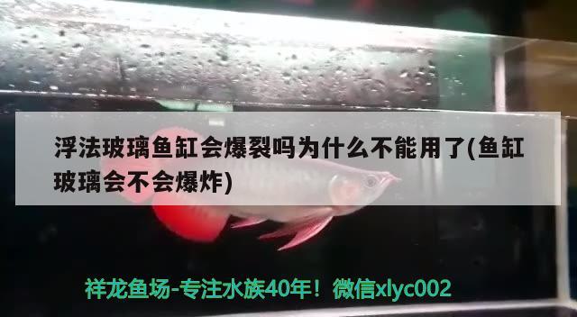 浮法玻璃魚缸會爆裂嗎為什么不能用了(魚缸玻璃會不會爆炸)