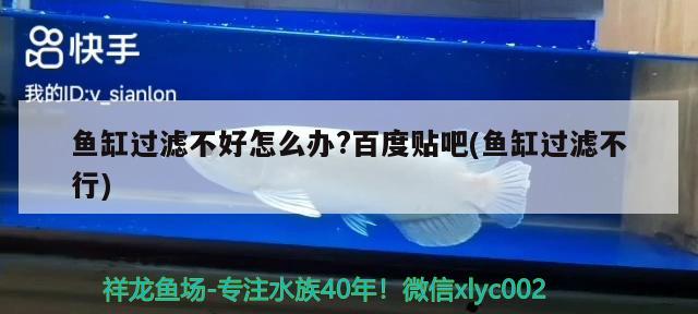 魚缸過濾不好怎么辦?百度貼吧(魚缸過濾不行) 夢(mèng)幻雷龍魚