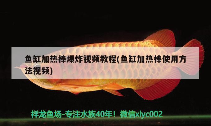 魚缸加熱棒爆炸視頻教程(魚缸加熱棒使用方法視頻) 廣州觀賞魚魚苗批發(fā)市場