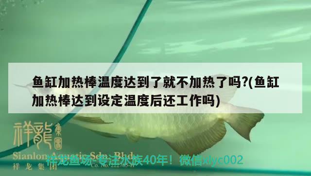 魚缸加熱棒溫度達(dá)到了就不加熱了嗎?(魚缸加熱棒達(dá)到設(shè)定溫度后還工作嗎) 粗線銀版魚