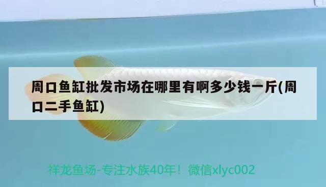 周口魚缸批發(fā)市場在哪里有啊多少錢一斤(周口二手魚缸) 元寶鳳凰魚百科