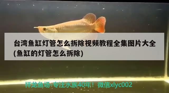 臺灣魚缸燈管怎么拆除視頻教程全集圖片大全(魚缸的燈管怎么拆除) BD魟魚