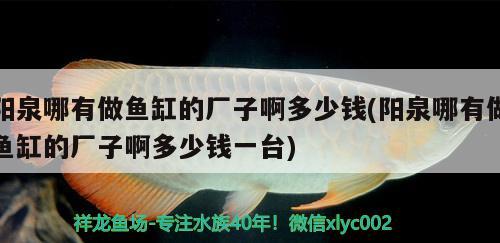 陽(yáng)泉哪有做魚(yú)缸的廠子啊多少錢(qián)(陽(yáng)泉哪有做魚(yú)缸的廠子啊多少錢(qián)一臺(tái)) 黃鰭鯧魚(yú)