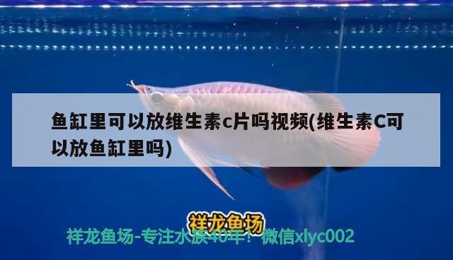 魚缸里可以放維生素c片嗎視頻(維生素C可以放魚缸里嗎)