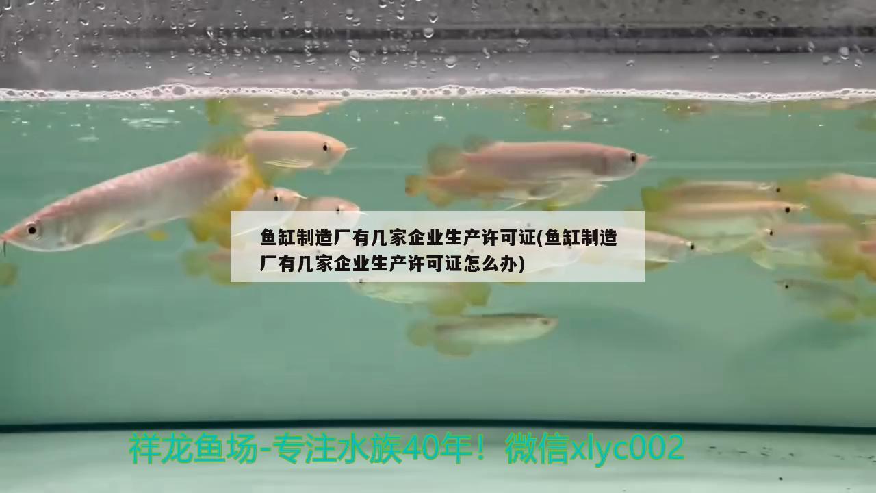 魚缸制造廠有幾家企業(yè)生產(chǎn)許可證(魚缸制造廠有幾家企業(yè)生產(chǎn)許可證怎么辦)