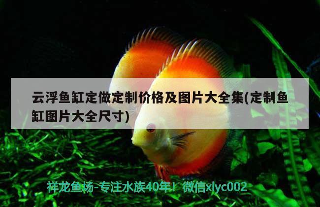 云浮魚缸定做定制價格及圖片大全集(定制魚缸圖片大全尺寸) 印尼紅龍魚