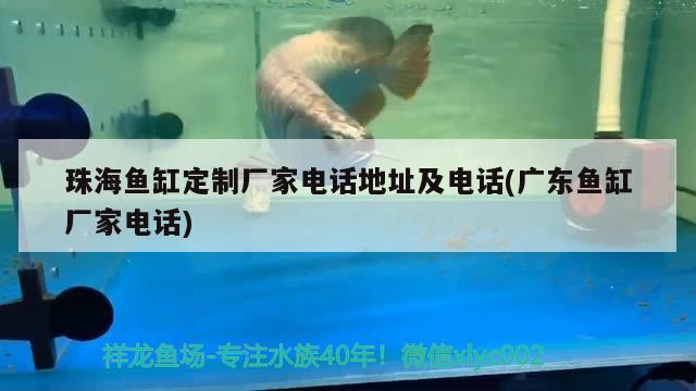 珠海魚缸定制廠家電話地址及電話(廣東魚缸廠家電話)