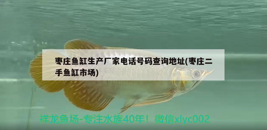 棗莊魚(yú)缸生產(chǎn)廠家電話號(hào)碼查詢(xún)地址(棗莊二手魚(yú)缸市場(chǎng)) 黑金魟魚(yú)