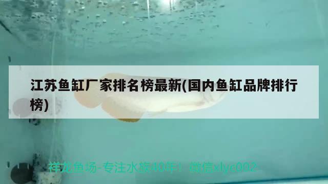 江蘇魚(yú)缸廠(chǎng)家排名榜最新(國(guó)內(nèi)魚(yú)缸品牌排行榜) 祥禾Super Red紅龍魚(yú)