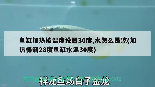 魚缸加熱棒溫度設置30度,水怎么是涼(加熱棒調28度魚缸水溫30度)