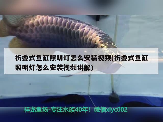 折疊式魚(yú)缸照明燈怎么安裝視頻(折疊式魚(yú)缸照明燈怎么安裝視頻講解)