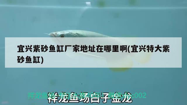 宜興紫砂魚缸廠家地址在哪里啊(宜興特大紫砂魚缸)