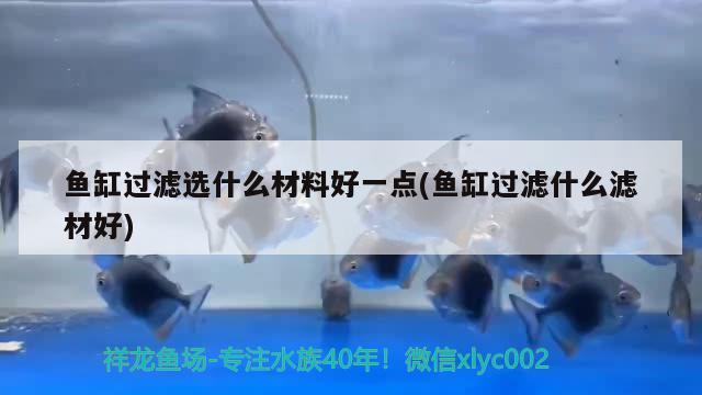 魚(yú)缸過(guò)濾選什么材料好一點(diǎn)(魚(yú)缸過(guò)濾什么濾材好)