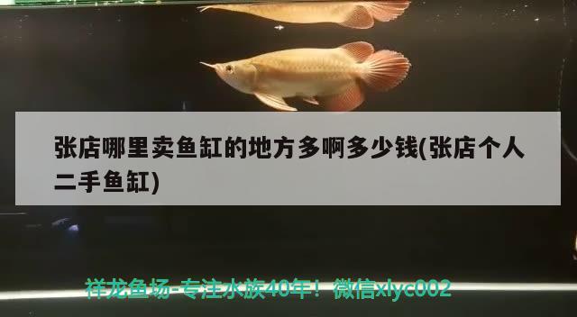 張店哪里賣魚缸的地方多啊多少錢(張店個人二手魚缸) 狗仔招財貓魚