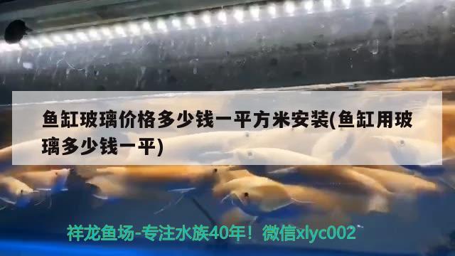 魚缸玻璃價格多少錢一平方米安裝(魚缸用玻璃多少錢一平) 喂食器