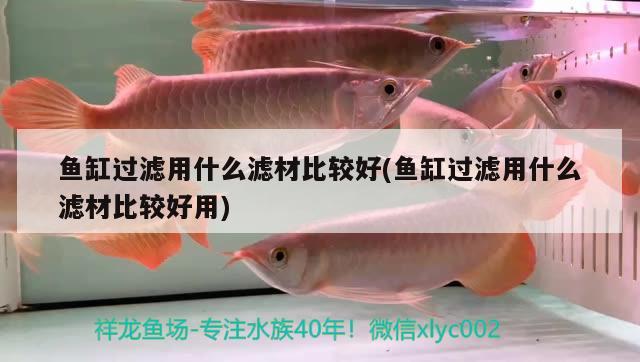 魚缸過濾用什么濾材比較好(魚缸過濾用什么濾材比較好用) 三色錦鯉魚