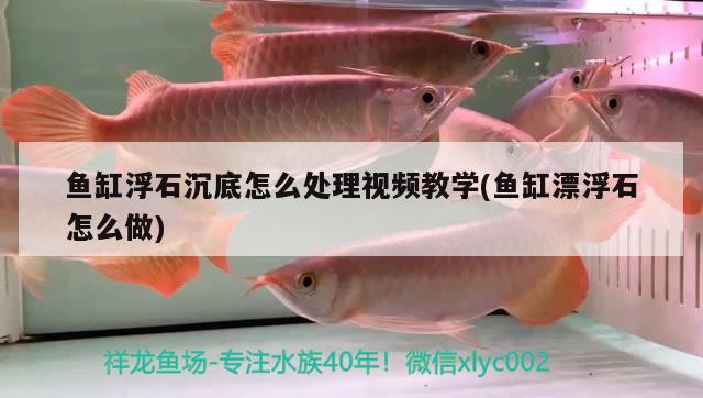 魚缸浮石沉底怎么處理視頻教學(xué)(魚缸漂浮石怎么做) 白子關(guān)刀魚