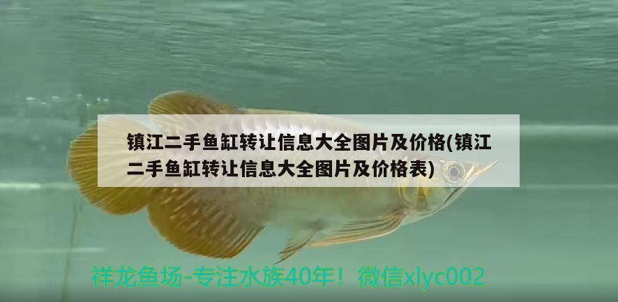 鎮(zhèn)江二手魚缸轉(zhuǎn)讓信息大全圖片及價格(鎮(zhèn)江二手魚缸轉(zhuǎn)讓信息大全圖片及價格表) 祥禾Super Red紅龍魚