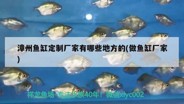 漳州魚缸定制廠家有哪些地方的(做魚缸廠家) 金頭過背金龍魚