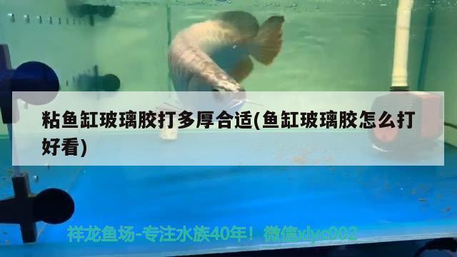 粘魚缸玻璃膠打多厚合適(魚缸玻璃膠怎么打好看)