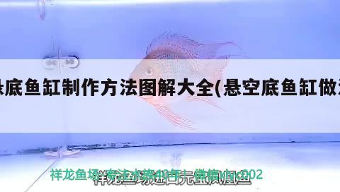 懸底魚缸制作方法圖解大全(懸空底魚缸做法) 藍底過背金龍魚