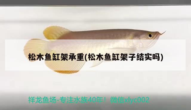 松木魚缸架承重(松木魚缸架子結(jié)實嗎) 斑馬鴨嘴魚