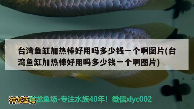 臺灣魚缸加熱棒好用嗎多少錢一個啊圖片(臺灣魚缸加熱棒好用嗎多少錢一個啊圖片)