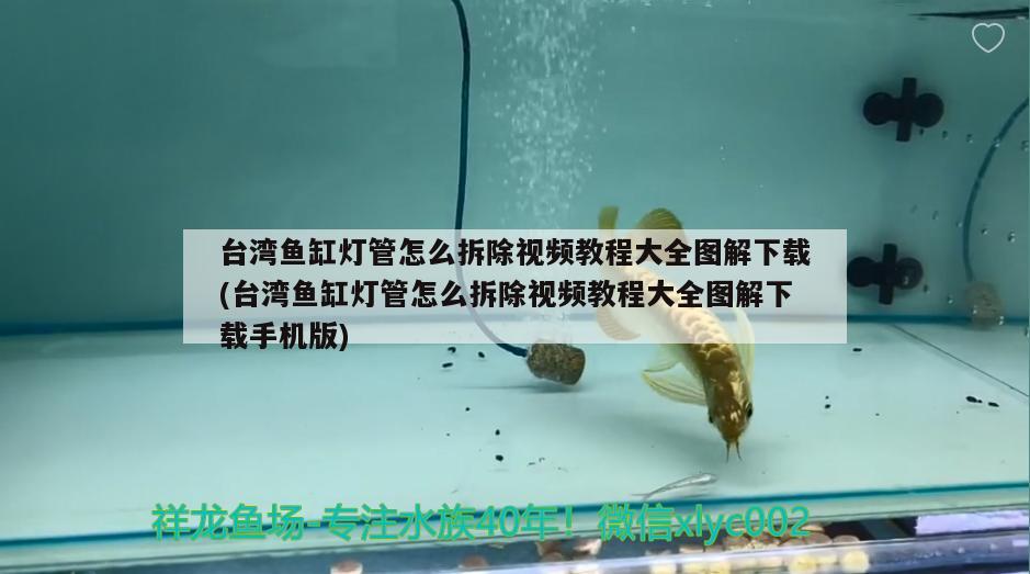 臺(tái)灣魚缸燈管怎么拆除視頻教程大全圖解下載(臺(tái)灣魚缸燈管怎么拆除視頻教程大全圖解下載手機(jī)版)