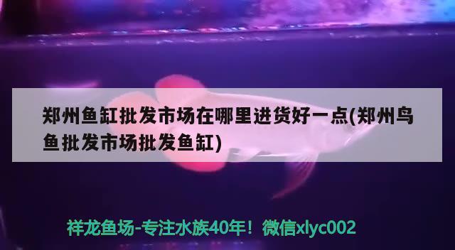 鄭州魚缸批發(fā)市場在哪里進(jìn)貨好一點(diǎn)(鄭州鳥魚批發(fā)市場批發(fā)魚缸)