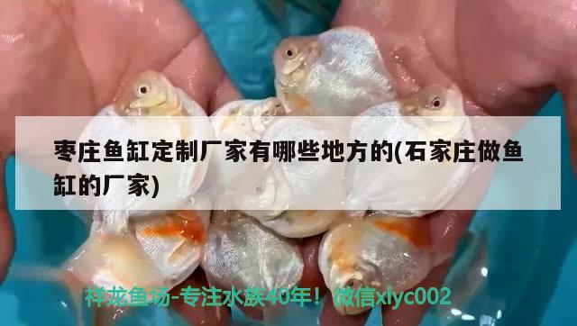 棗莊魚缸定制廠家有哪些地方的(石家莊做魚缸的廠家) 魚缸凈水劑