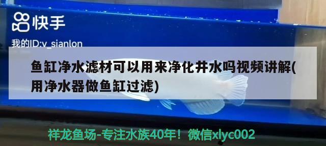 魚缸凈水濾材可以用來凈化井水嗎視頻講解(用凈水器做魚缸過濾)