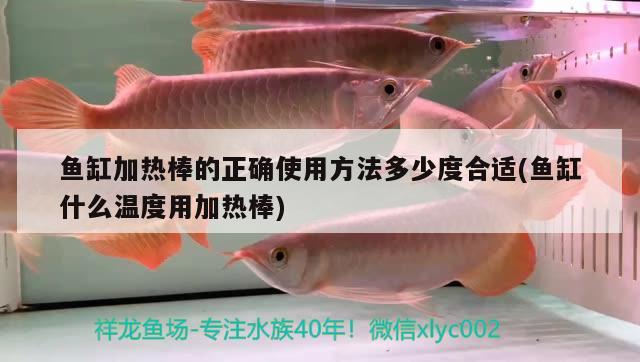 魚缸加熱棒的正確使用方法多少度合適(魚缸什么溫度用加熱棒)