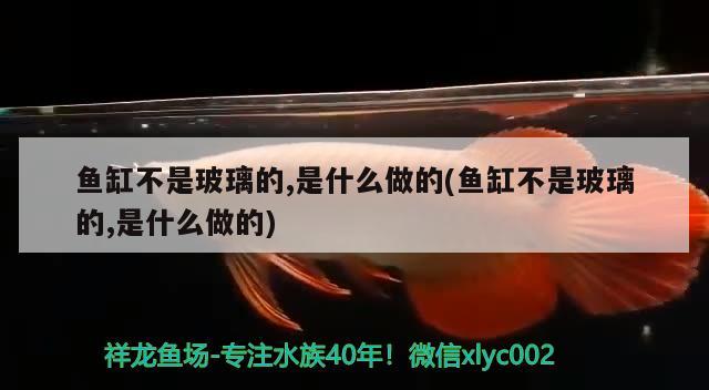 魚缸不是玻璃的,是什么做的(魚缸不是玻璃的,是什么做的) 綠皮辣椒小紅龍