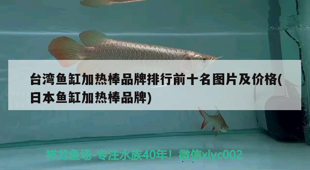 臺灣魚缸加熱棒品牌排行前十名圖片及價格(日本魚缸加熱棒品牌) 魟魚百科