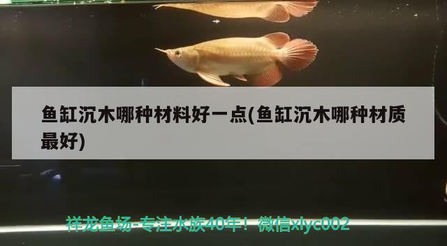 魚缸沉木哪種材料好一點(魚缸沉木哪種材質(zhì)最好)