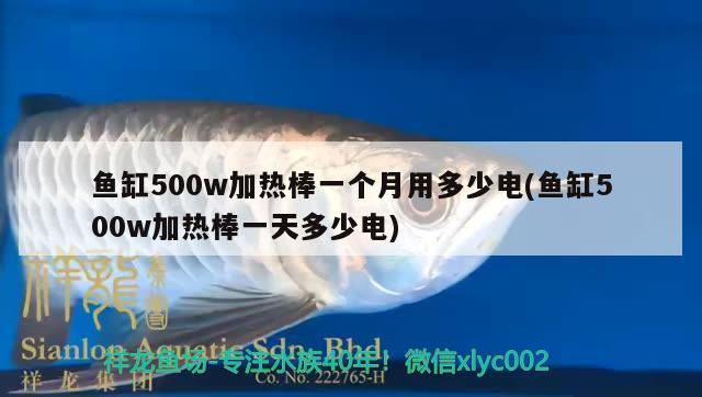 魚(yú)缸500w加熱棒一個(gè)月用多少電(魚(yú)缸500w加熱棒一天多少電) 黃金眼鏡蛇雷龍魚(yú)