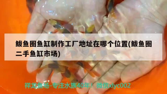 鲅魚圈魚缸制作工廠地址在哪個位置(鲅魚圈二手魚缸市場) 定時器/自控系統(tǒng)