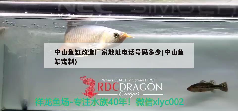 中山魚缸改造廠家地址電話號(hào)碼多少(中山魚缸定制) 飛鳳魚