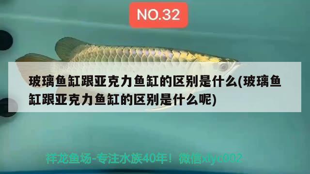 玻璃魚缸跟亞克力魚缸的區(qū)別是什么(玻璃魚缸跟亞克力魚缸的區(qū)別是什么呢) 紅龍專用魚糧飼料