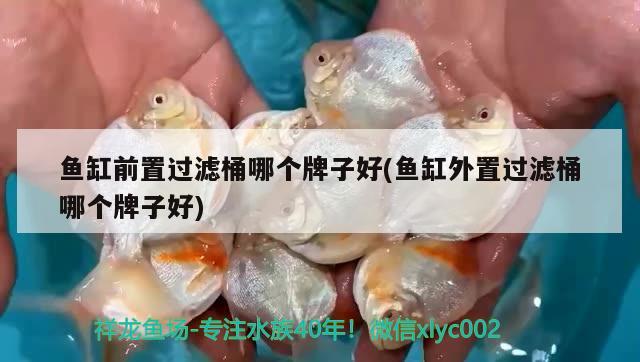 魚缸前置過濾桶哪個牌子好(魚缸外置過濾桶哪個牌子好) 廣州水族器材濾材批發(fā)市場 第1張