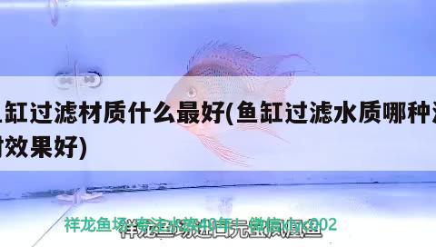 魚缸過濾材質(zhì)什么最好(魚缸過濾水質(zhì)哪種濾材效果好) 生態(tài)瓶/創(chuàng)意缸/桌面微景缸