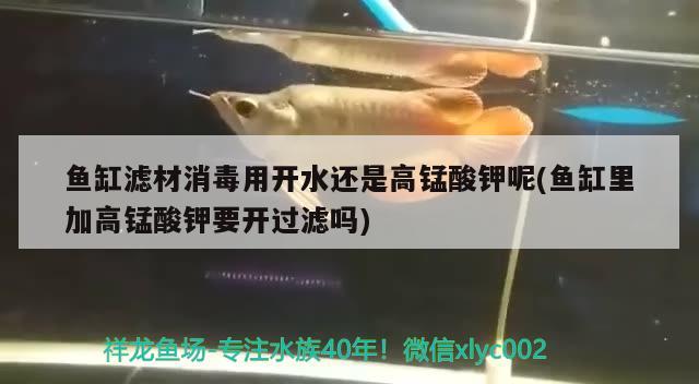 魚缸濾材消毒用開水還是高錳酸鉀呢(魚缸里加高錳酸鉀要開過濾嗎) 哥倫比亞巨暴魚苗