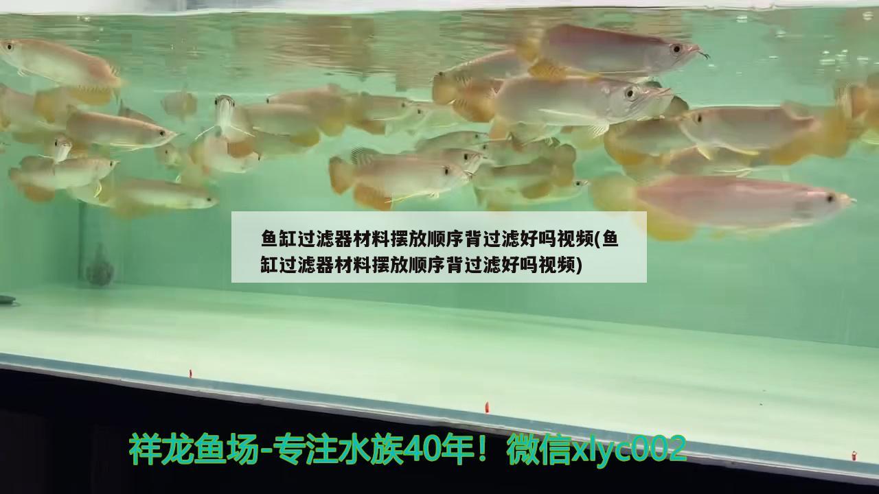 魚缸過濾器材料擺放順序背過濾好嗎視頻(魚缸過濾器材料擺放順序背過濾好嗎視頻)