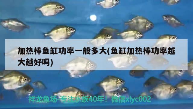 加熱棒魚缸功率一般多大(魚缸加熱棒功率越大越好嗎)