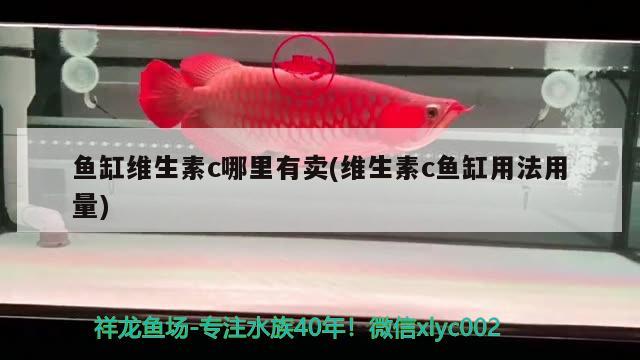 魚缸維生素c哪里有賣(維生素c魚缸用法用量)