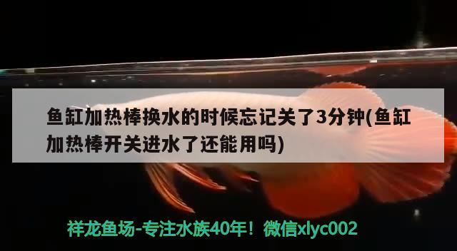 魚缸加熱棒換水的時(shí)候忘記關(guān)了3分鐘(魚缸加熱棒開關(guān)進(jìn)水了還能用嗎) 女王大帆魚苗