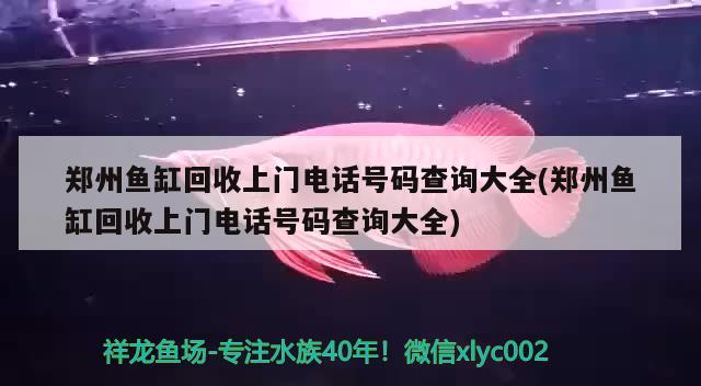 鄭州魚缸回收上門電話號碼查詢大全(鄭州魚缸回收上門電話號碼查詢大全)