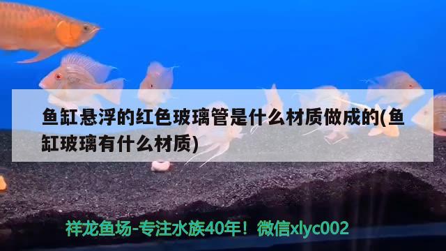 魚缸懸浮的紅色玻璃管是什么材質(zhì)做成的(魚缸玻璃有什么材質(zhì))