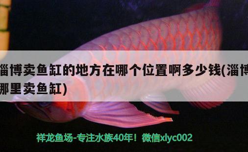 淄博賣魚缸的地方在哪個位置啊多少錢(淄博哪里賣魚缸)